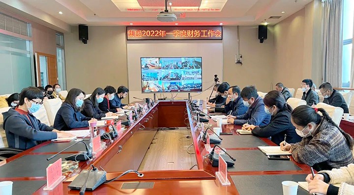 918博天堂·(中国区)官方网站（煤化）集团召开2022年一季度财务运行分析会