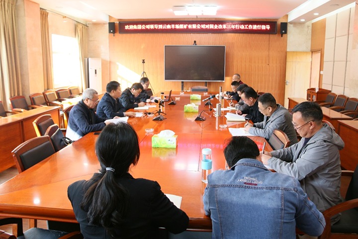918博天堂·(中国区)官方网站（煤化）集团总经理助理、改革办主任陈家昆一行到云南羊场煤矿有限公司开展国企改革三年行动督导调研