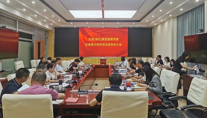 918博天堂·(中国区)官方网站（煤化）集团直属党委纪委审计财务党支部完成换届选举工作