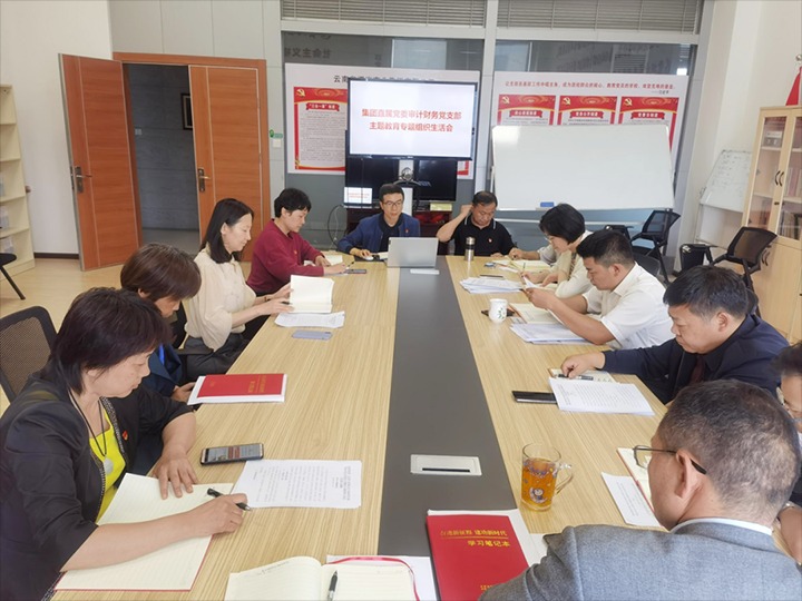 【主题教育】集团直属党委审计财务党支部、解化清洁能源公司党委、可保煤矿公司党委召开主题教育专题民主（组织）生活会